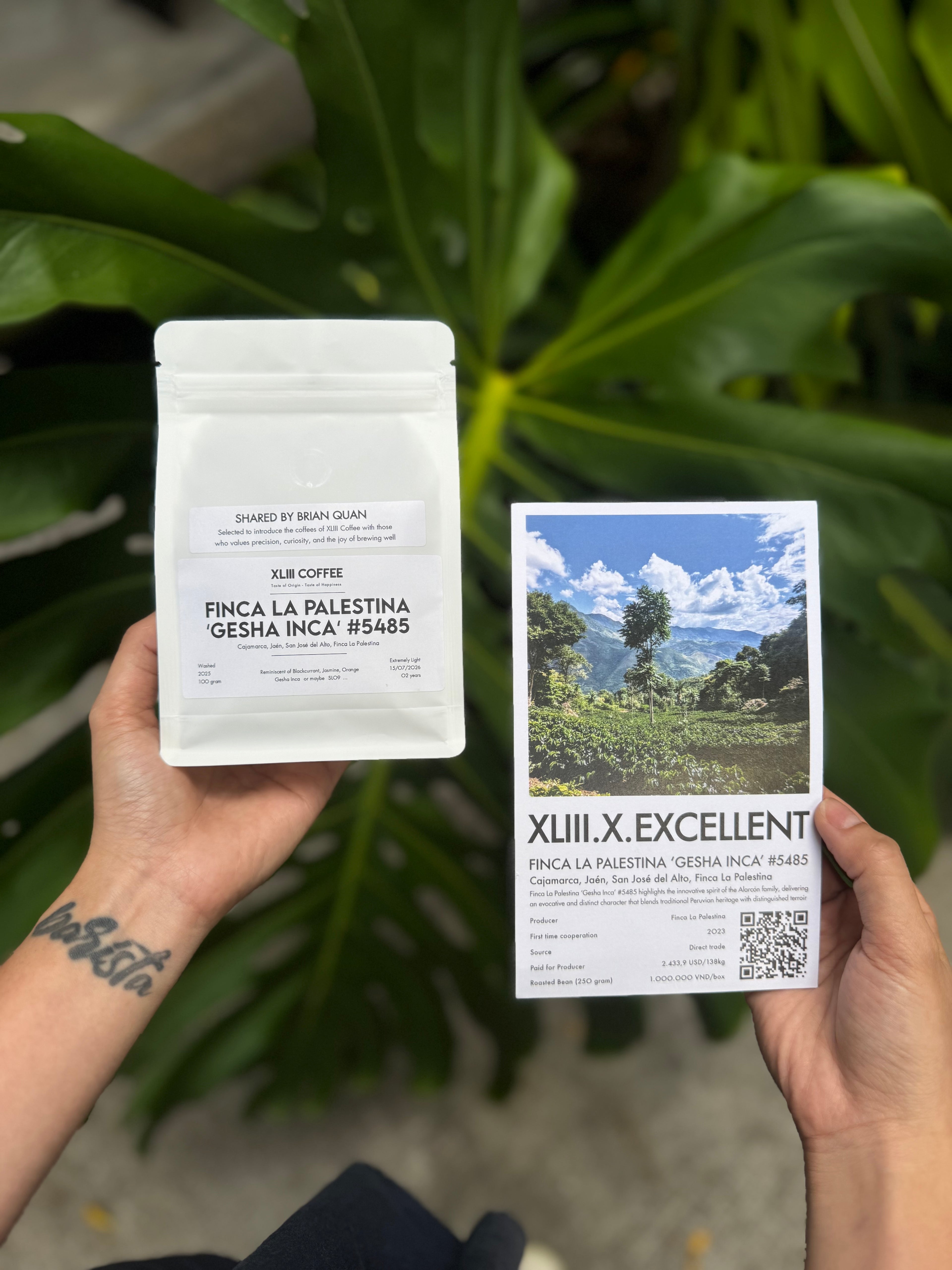 [PRE-ORDER] XLIII Great Finds Series #1: Finca La Palestina 'Gesha Inca' #5485