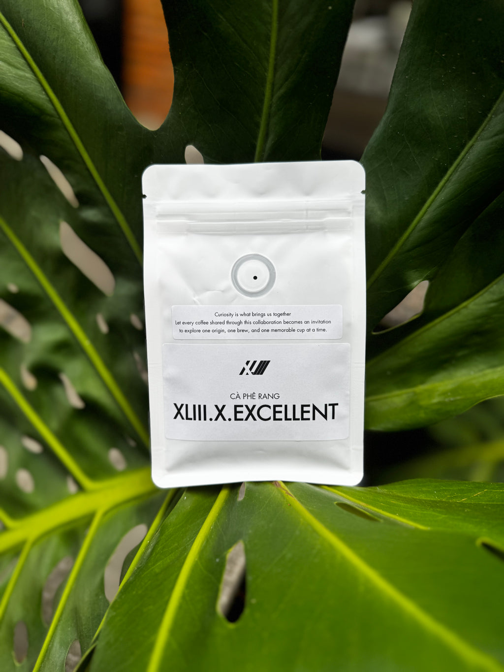 [PRE-ORDER] XLIII Great Finds Series #1: Finca La Palestina 'Gesha Inca' #5485