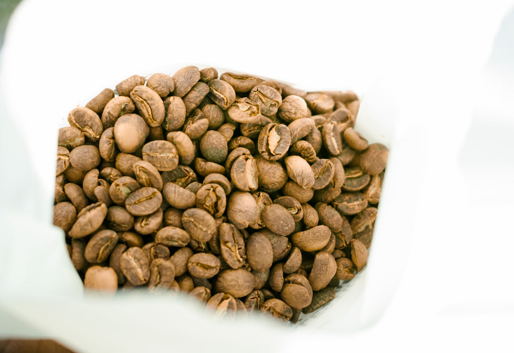 [PRE-ORDER] XLIII Great Finds Series #1: Finca La Palestina 'Gesha Inca' #5485