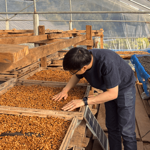 [Newbery Street Kickstarter] Jaroon Sunda Thai Gesha Red Honey 4oz